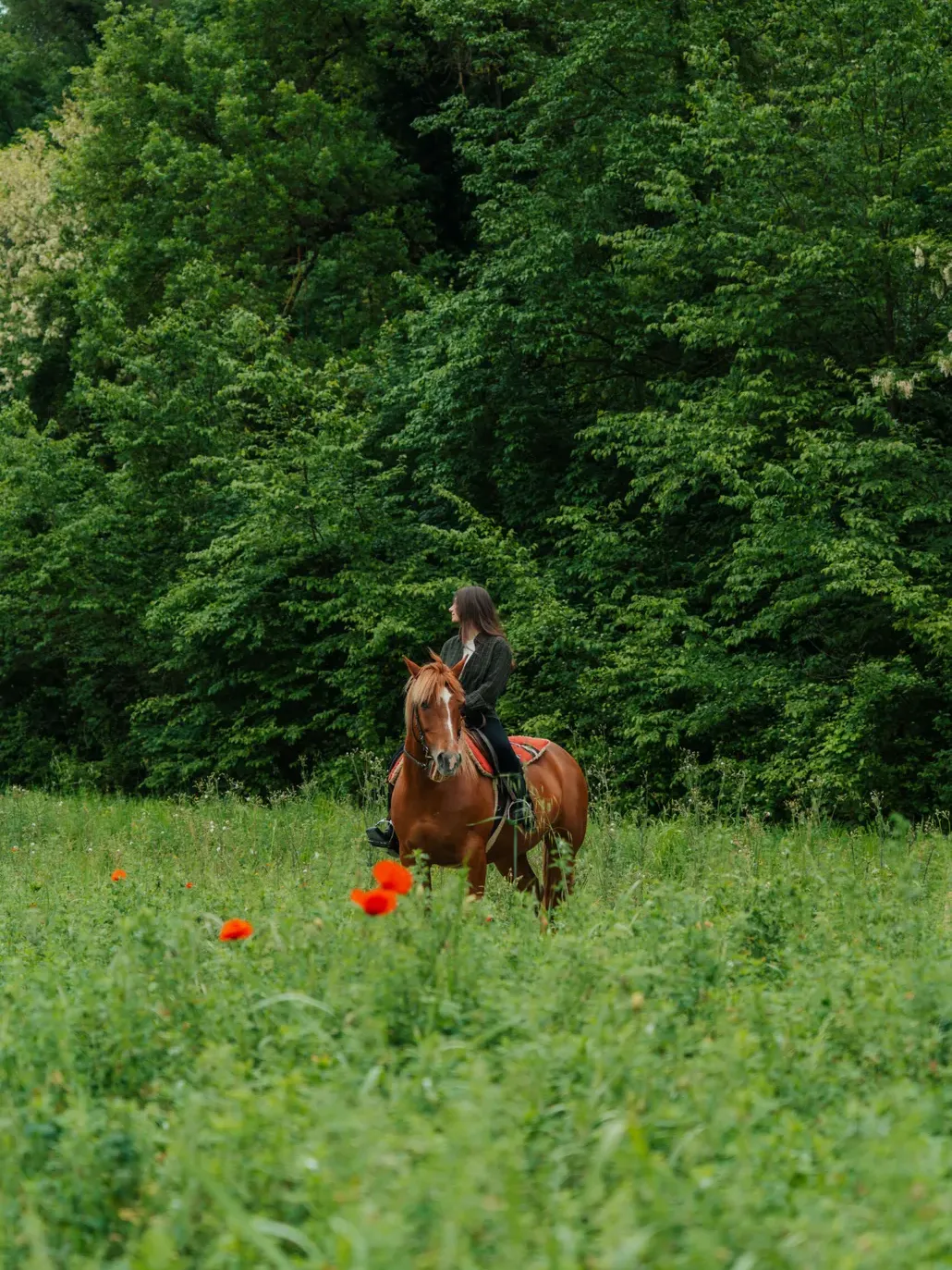 Horseback riding