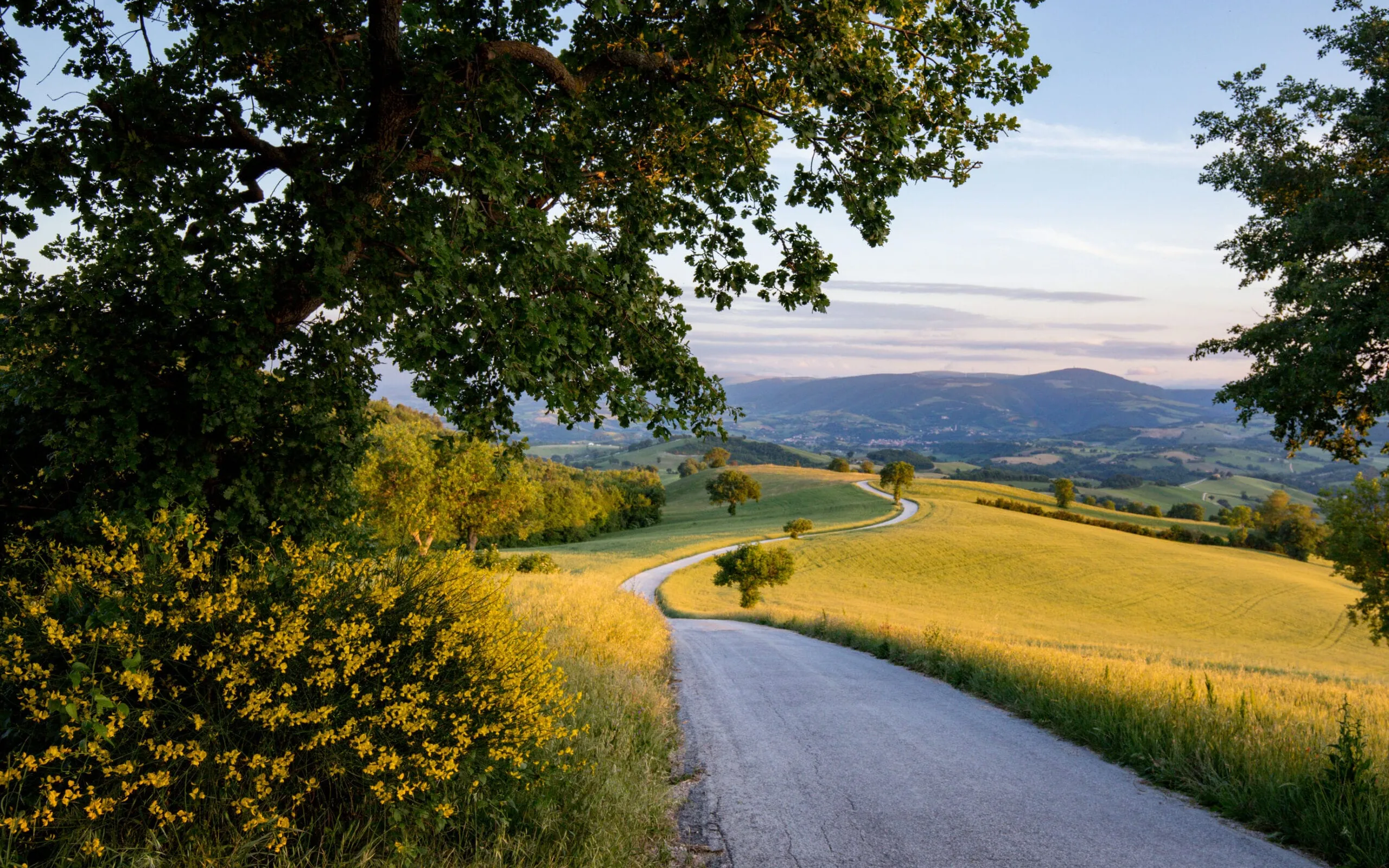 Strada di campagna a San Severino nelle Marche